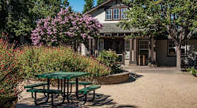 A green picnic table is in front of a building with a purple flowering bush to the left.