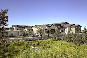 A row of houses with a fence and greenery in the foreground.