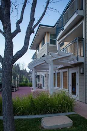 A tree stands in front of a building with a balcony.