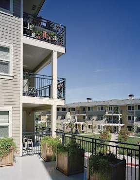 A balcony with a railing and potted plants.