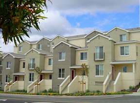 A row of houses with a tree in front of them.