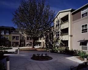 A courtyard surrounded by apartment buildings on a sunny day.