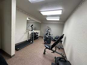 A home gym with a treadmill, weights, and exercise equipment.