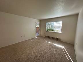 A room with a carpeted floor and a window with blinds.