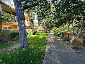 A tree-lined pathway in a residential area.