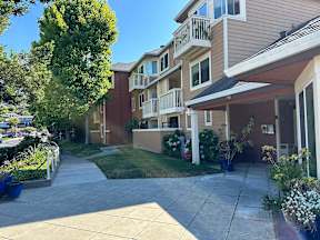 A sunny day at a residential complex with apartment buildings and a paved walkway.