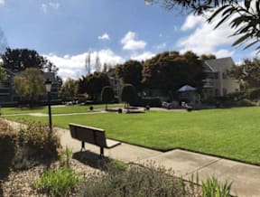 A park with a bench and a pathway.