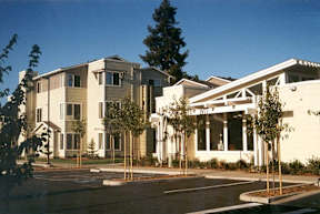 A white building with a tree in front of it.