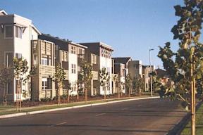 A long row of houses with trees in front of them.