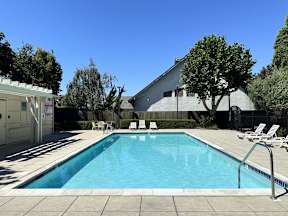 A swimming pool with a metal ladder and white lounge chairs.