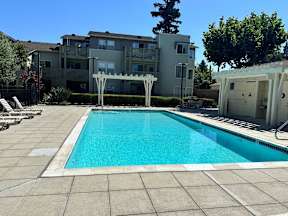 A swimming pool in a residential area with a building in the background.