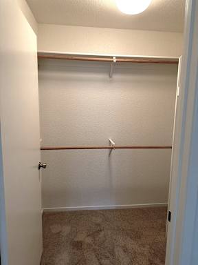 A white closet with a brown shelf and a carpeted floor.
