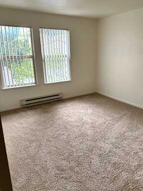 A room with a window and a radiator on the wall.