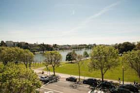 A view of a city park with a lake and trees.
