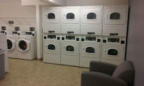 A row of washing machines are lined up in a laundromat.