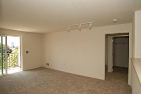 A room with a carpeted floor and a sliding glass door.