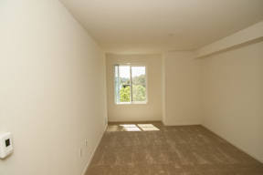 A room with a window and a brown carpet.