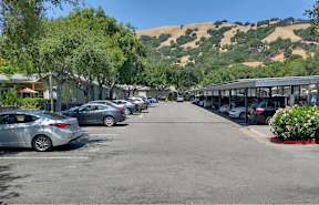 A parking lot with cars parked and trees lining the street.