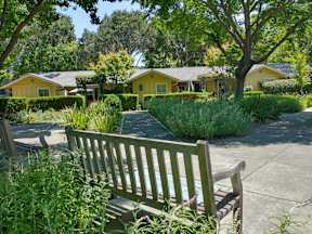 A wooden bench is in the foreground of a park with a yellow building in the background.