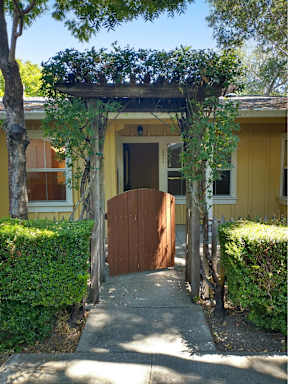A yellow house with a brown gate and a tree in front.