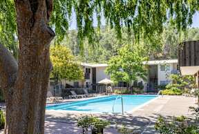 A swimming pool surrounded by trees and chairs.at Terra Linda Manor, San Rafael, CA 94903