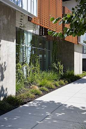 A modern building with a concrete walkway and a metal trellis.