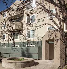 A tree is in front of a building with a brown door.