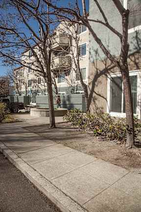A tree-lined sidewalk in front of a building.