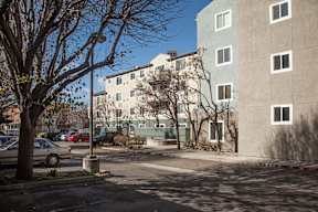 A tree with no leaves stands in front of a building.