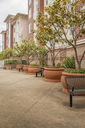 A row of benches are lined up on a sidewalk.