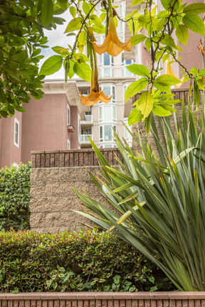 A building with a pink facade is behind a green bush.