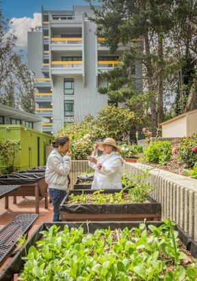Two people standing in a garden with a building in the background.