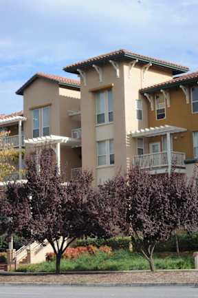Apartment building with a tree in front.