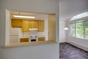 A kitchen with wooden cabinets and a stove top oven.