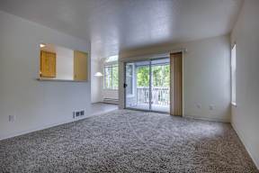 A spacious room with a grey carpet and a sliding glass door leading to a balcony.