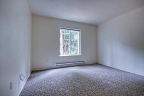 A room with a window and a carpeted floor.