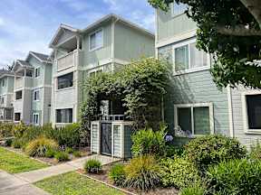 A green apartment building with a small garden in front.