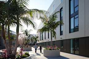 A modern building with a courtyard and palm trees.