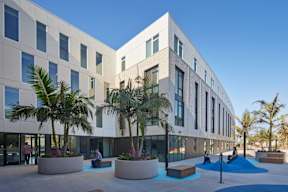 A modern building with a courtyard and palm trees.