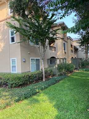 Apartment building with green bushes in front.