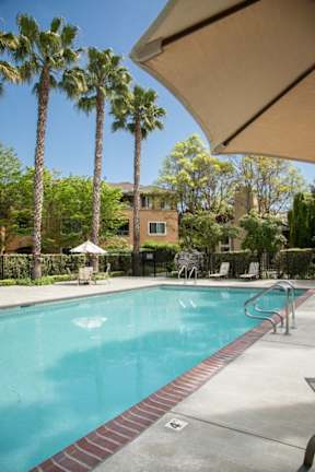 A swimming pool surrounded by palm trees and a building in the background.