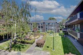 A sunny day at a residential area with apartment buildings and greenery.