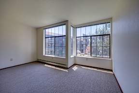 A room with a carpet floor and two windows.