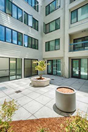 A courtyard with a tree and a planter.