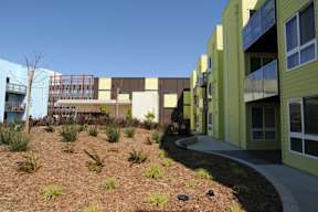 A building with a green and yellow exterior is surrounded by a small garden.