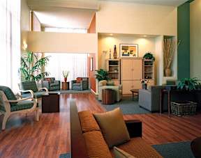 A living room with a long couch and a green plant.