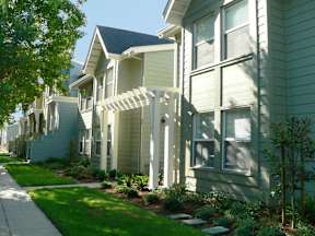 A row of houses with green siding and white trim.