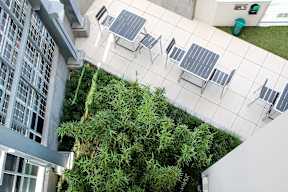 A patio with a table and chairs and a green plant.