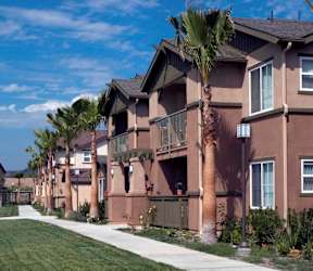 A row of houses with balconies and palm trees in front.