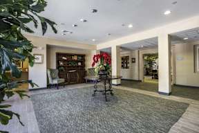 A room with a carpeted floor and a bench with a flower on it.